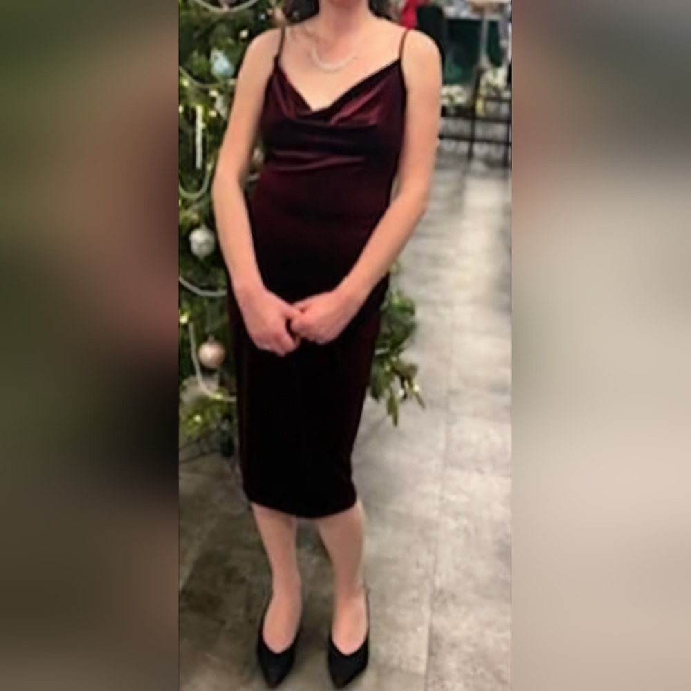 Size Medium Lovely Day Maroon Velvet Dress